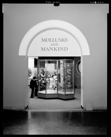 Hall of Mollusks exhibition