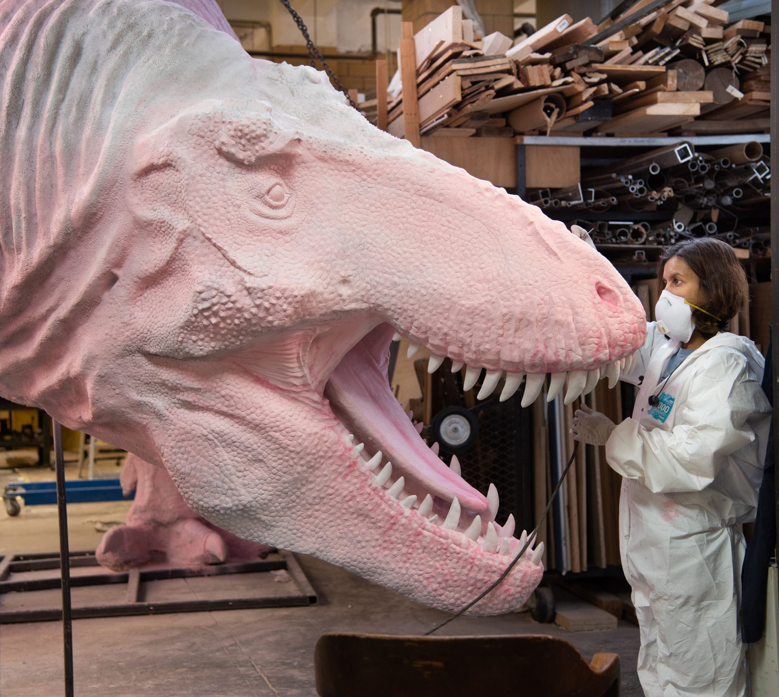 AMNH artist Rebecca Meah works on a full-scale model of then Tyrannus rex for the recent exhibition T. rex: The Ultimate Predator.