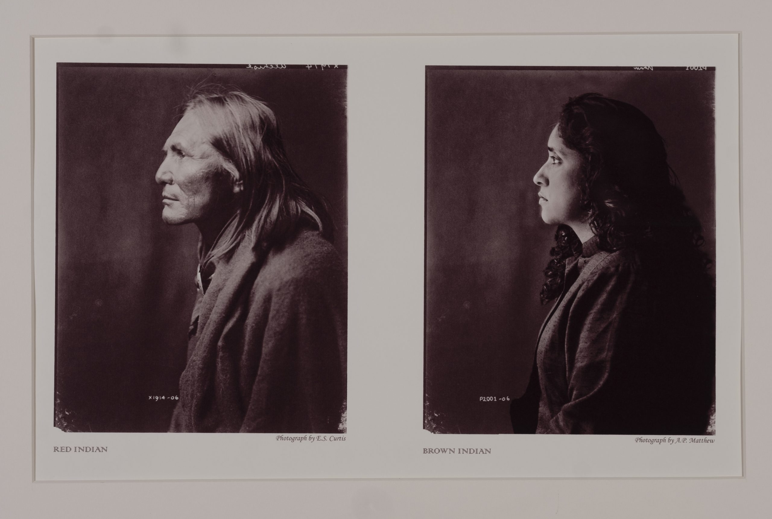 Two images, a man and a woman in the same position, facing left, light exposing the face. Under the man a cations reads, Red Indian, and under the woman a caption reads, Brown Indian.