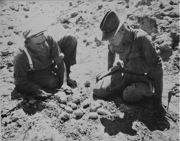 George Olsen (left) and Roy Chapman Andrews (right) inspecting an even dozen dinosaur egg nest, Mongolia 1925, Photographer James B. Shackelford.