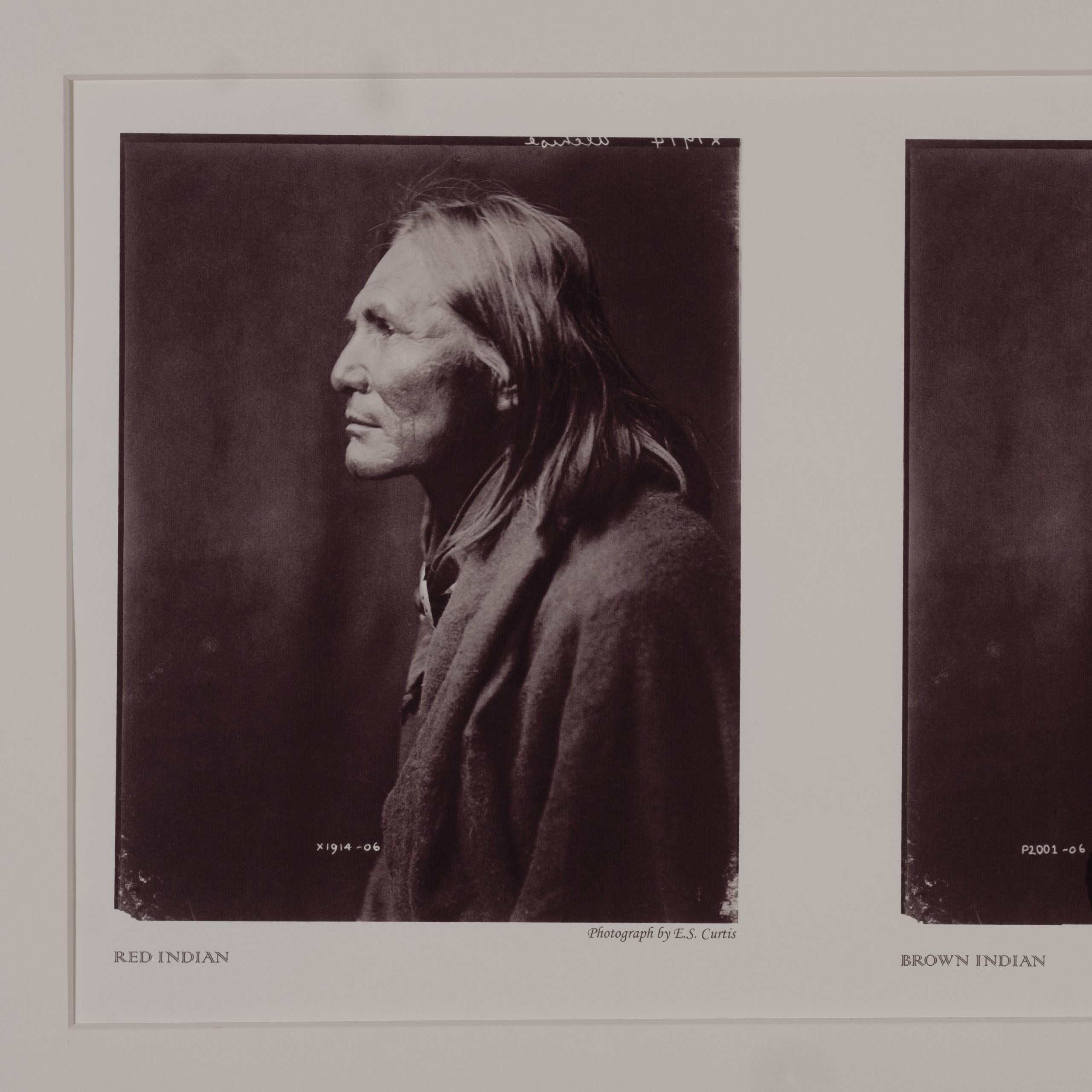 Two images, a man and a woman in the same position, facing left, light exposing the face. Under the man a cations reads, Red Indian, and under the woman a caption reads, Brown Indian.