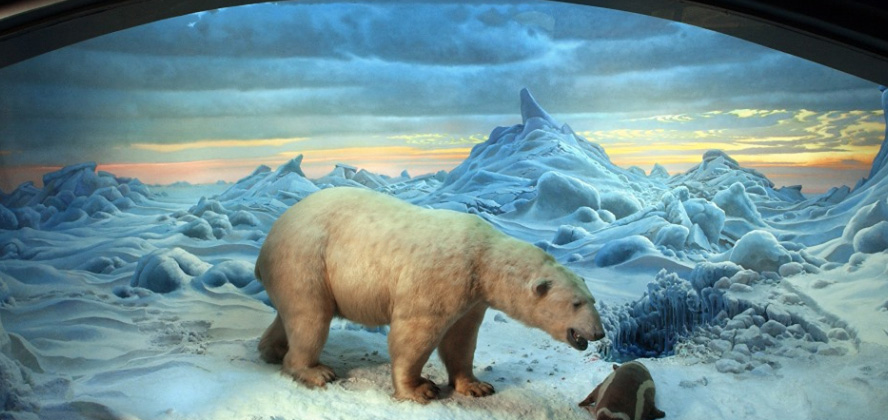 Polar bear diorama with a newly painted background. The snow and cloudy sky are both a mix of yellows and blues.