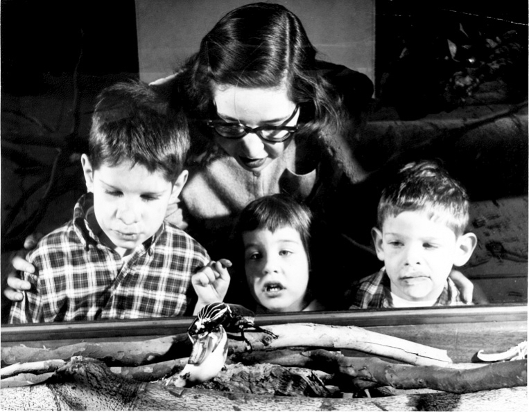 A black and white photograph of young children and a woman watching a large beetle eat a banana.