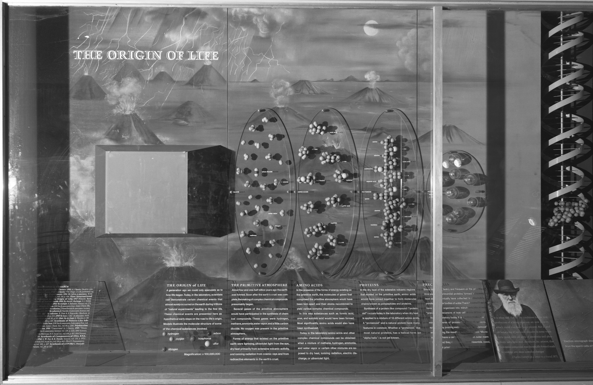 Charles Alston's Origin of Life Mural in the background of an exhibition case with text and models of molecules.